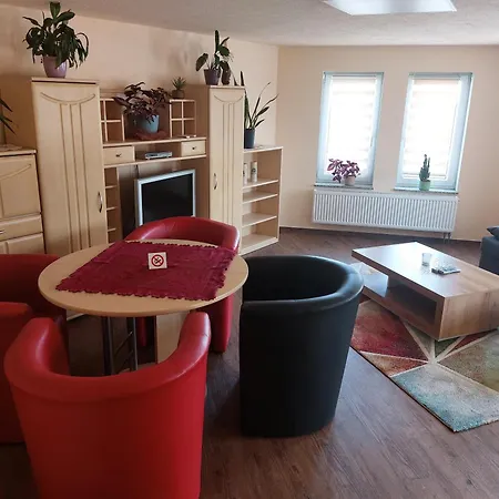 Apartamento Waldquelle Plauen Habitación foto